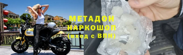 индика Богданович