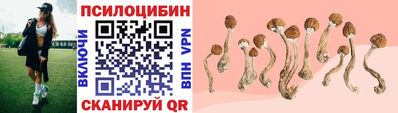 Псилоцибиновые грибы ЛСД  Полевской 