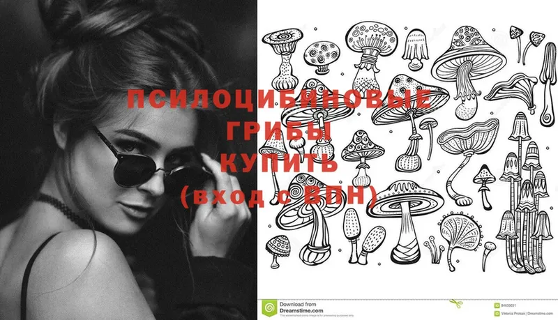 МЕГА как зайти  Полевской  Галлюциногенные грибы Psilocybine cubensis 