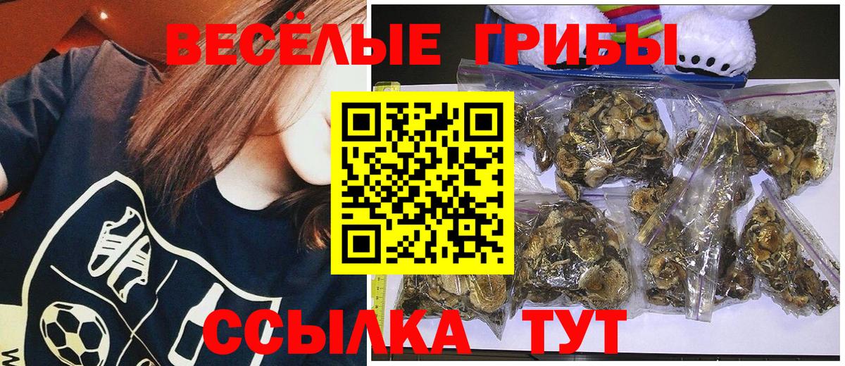 Полевской  Галлюциногенные грибы прущие грибы  Вход с VPN 
