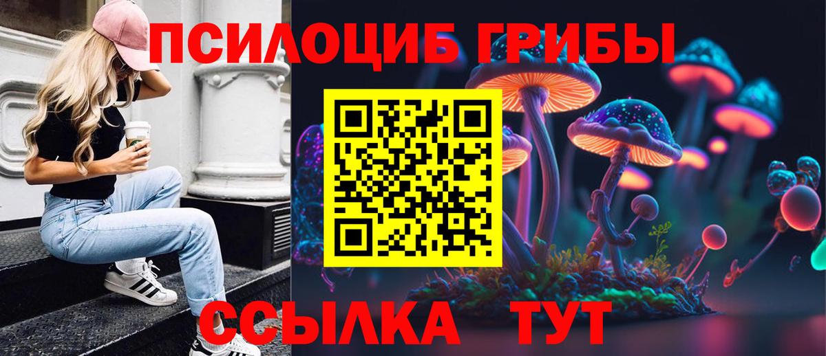 Галлюциногенные грибы GOLDEN TEACHER Полевской