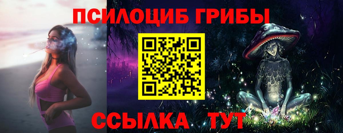 Галлюциногенные грибы Cubensis Полевской