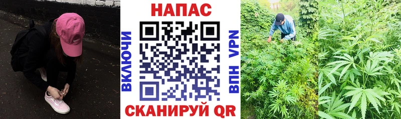 кракен зеркало  наркотики  Полевской  Шишки марихуана тримм 